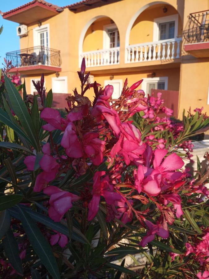 Residence Ionian St&Apts Argostoli  Eksteriør bilde